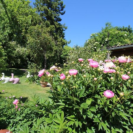 La Chaumiere Du Tordoir Bed & Breakfast Les Rues-des-Vignes Eksteriør bilde