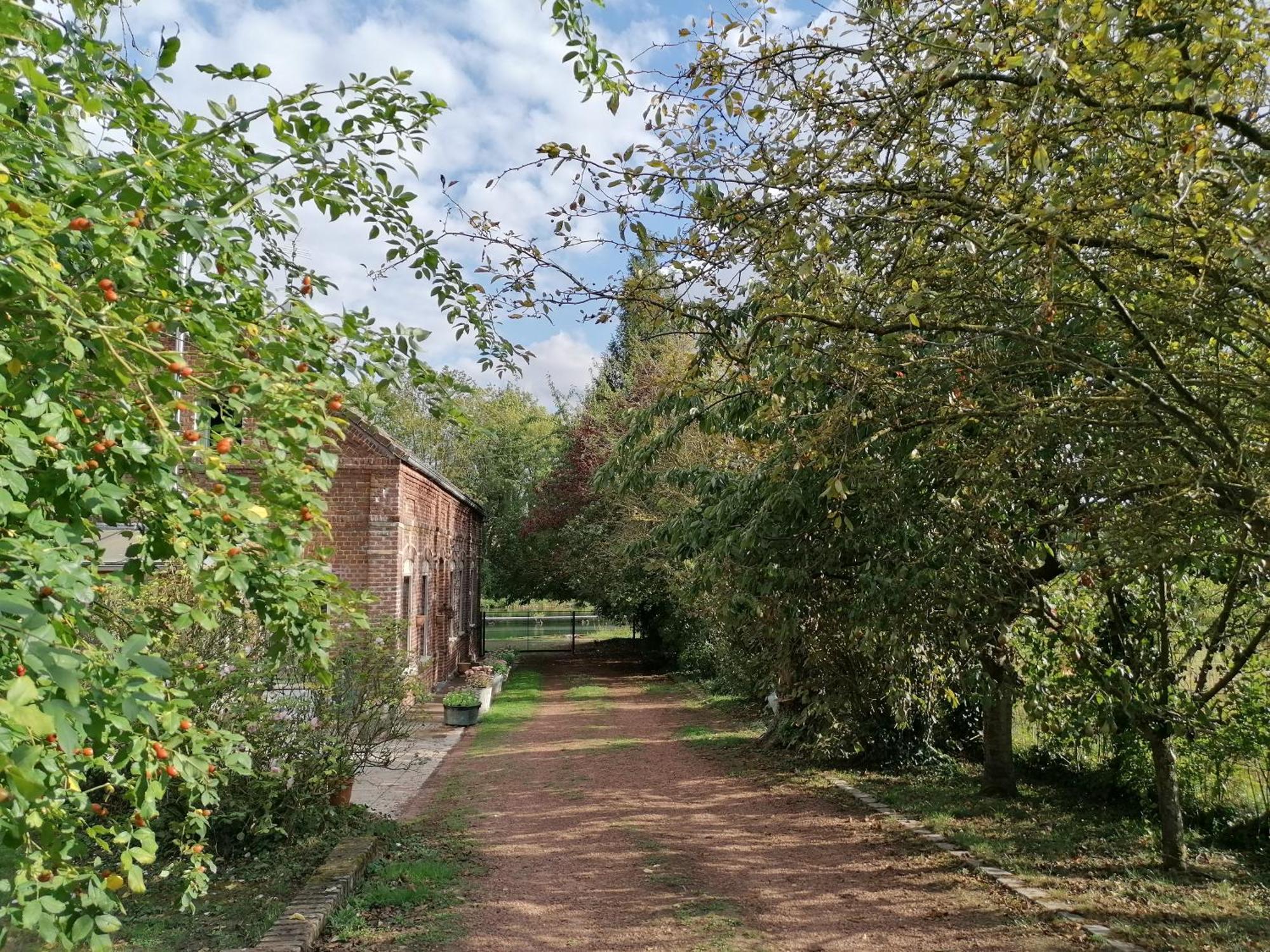 La Chaumiere Du Tordoir Bed & Breakfast Les Rues-des-Vignes Eksteriør bilde